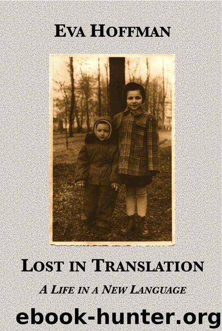 Eva Hoffman Lost In Translation Analysis